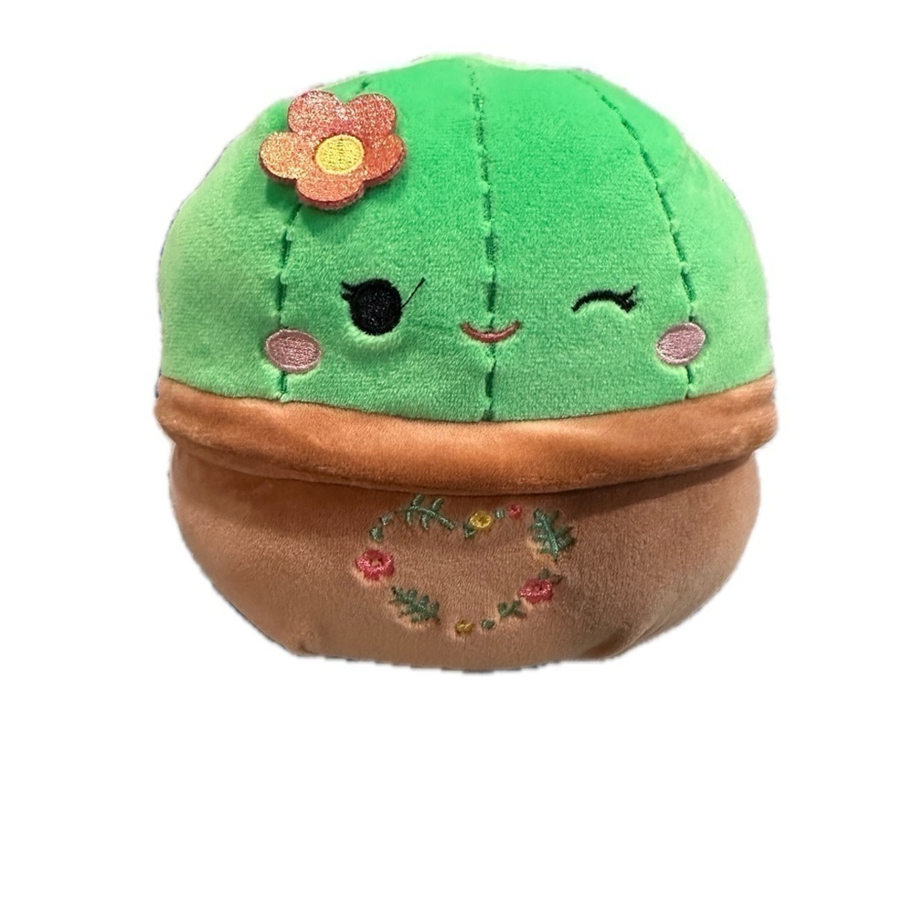 5” Shadi & Marcellus the Cactus Valentine Squishmallow Set NWOT - Picture 2 of 12